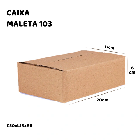 Caixa de Papelão 103 - 20x13x6 - Embala Easy